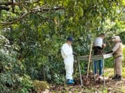 allan fosa e incineradora artesanal en Nayarit similar a la del Rancho Izaguirre