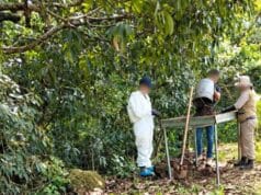 allan fosa e incineradora artesanal en Nayarit similar a la del Rancho Izaguirre