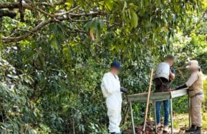 allan fosa e incineradora artesanal en Nayarit similar a la del Rancho Izaguirre