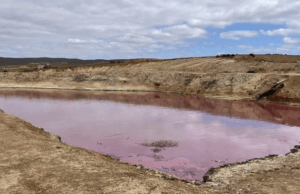 Peligro ambiental y omisión federal: Exigen frenar descargas tóxicas que asfixian a San Quintín